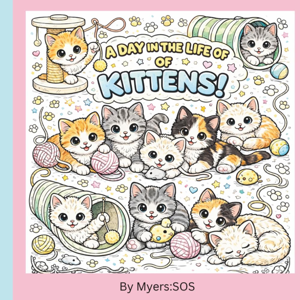 A day in the life of Kittens