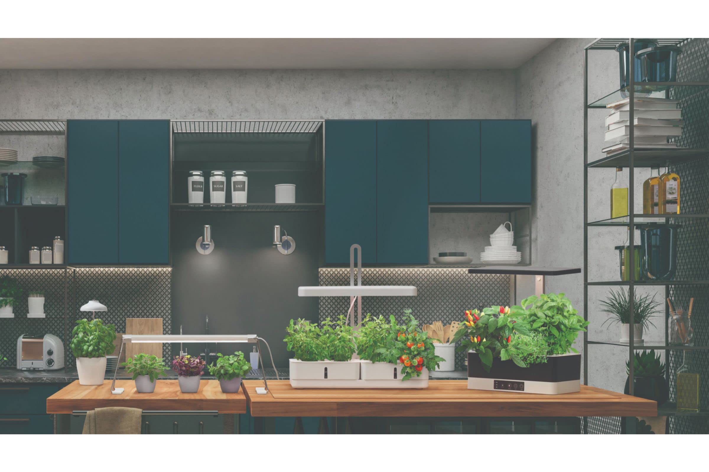 LEDVANCE Luz LED para plantas blanca con 1350Lumen, luz de crecimiento con 8 compartimentos para el jardín interior, luz para hierbas con función de temporizador e indicador de nivel de agua