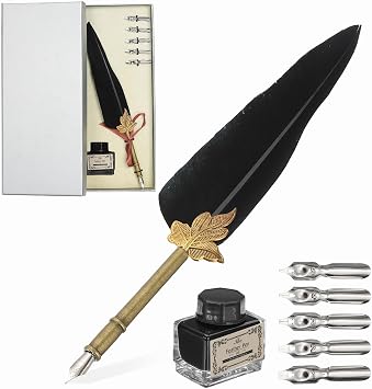 PATIKIL Feather Quill Pen Set, 1 Set Vintage Feather Calligraphy Pen Fountain Dip Pen Set with Ink, Pen Holder and Replacement Nibs for Beginner Writer Writing Gift, BlackSilver Box