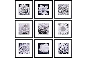 Gallery Perfect Picture Frames: Display Your Cherished Moments in Style