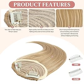 SARLA Clip in Side Bangs Extension Straight Synthetic Fake Bangs One Piece for Women Polar Silver