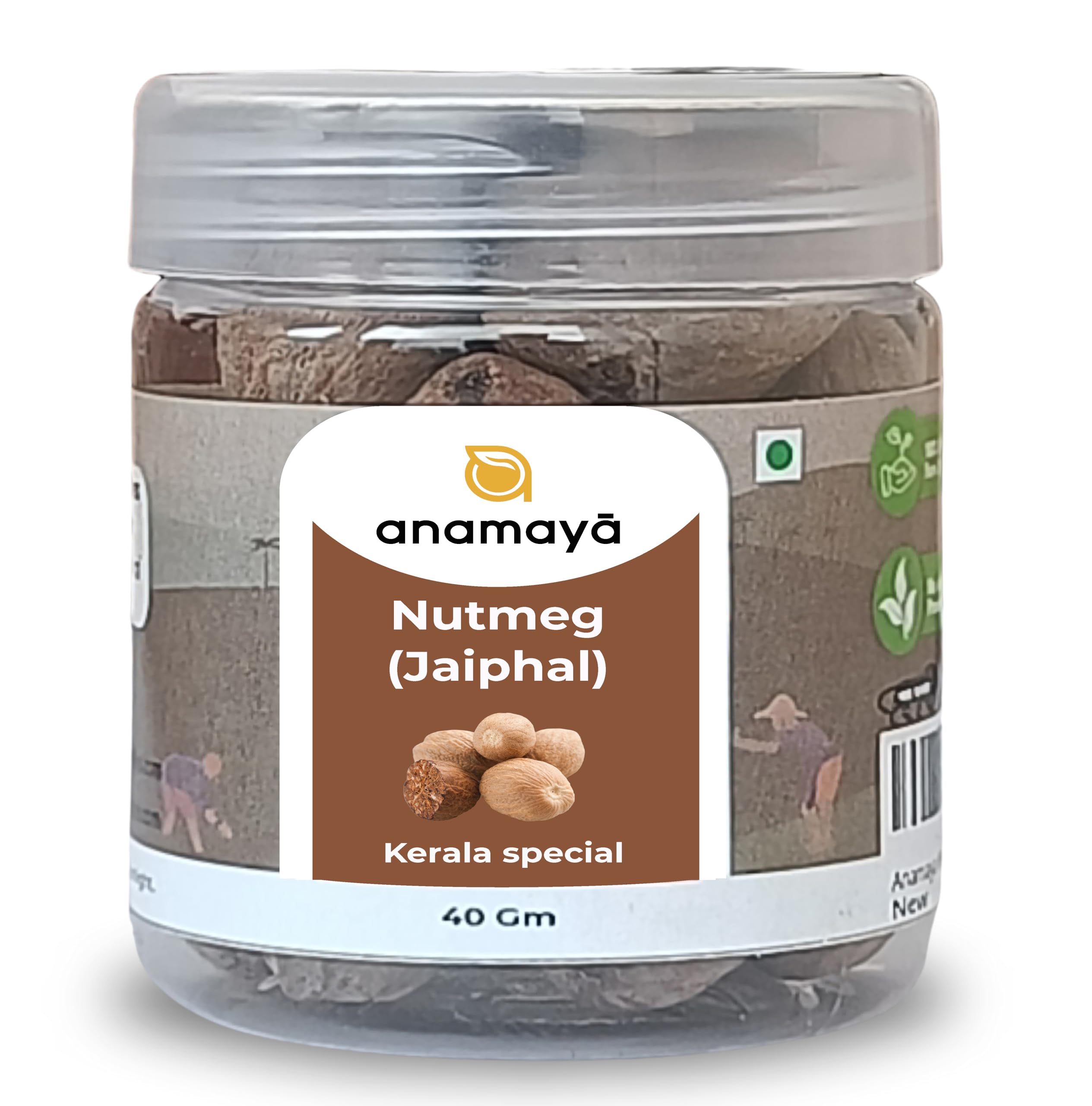 Anamaya Whole Nutmeg Spice | Nutmeg | Jaiphal | Grown and harvested in Kerala, India | 40 gms Pack | perfect for Cooking and Desserts - Spices for Chai & Curry |