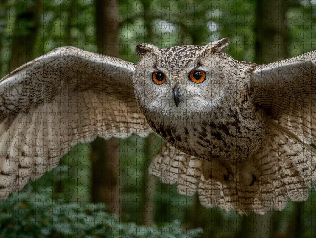 Puzzle 5000 elementów dla dorosłych sowa, drewniane puzzle, 155 x 104 cm, części ściśle do siebie pasują, dla mężczyzn, kobiet, starszych seniorów, dekompresji, letnia dekoracja ścienna, prezenty dla
