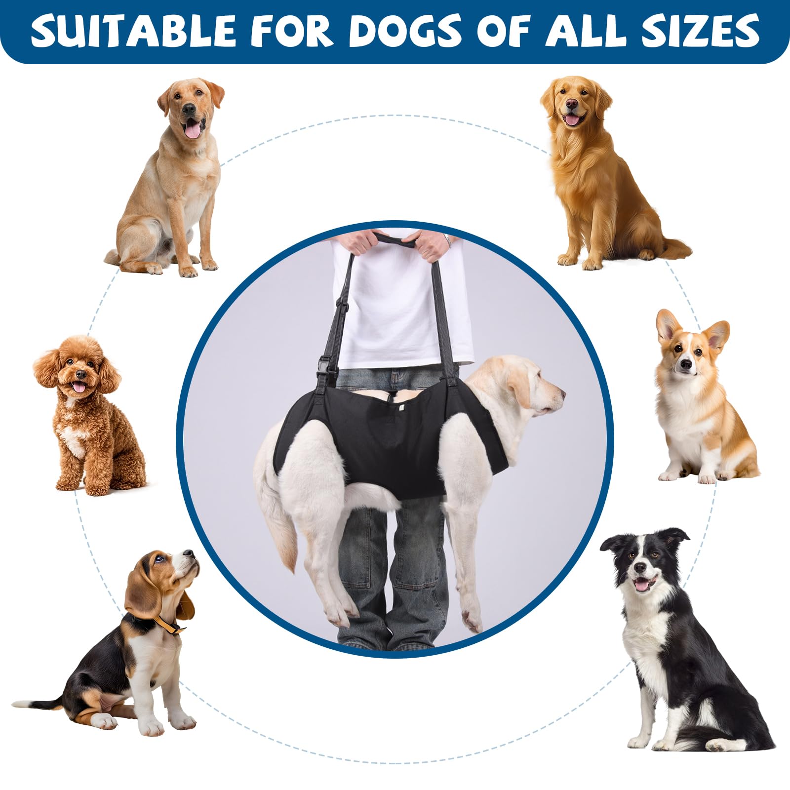 Imbragatura di Sostegno per Cani Grande, Imbragatura per Cani, Imbragatura di Sollevamento per Cani per Disabili, Feriti o Anziani (L)