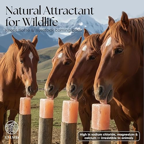 Miniatura 24 de UMAID Sal del Himalaya para lamer 6 libras en cuerda para animales de caballo, ciervo, cabra y ganado, bloque de sal del Himalaya, 1 paquete