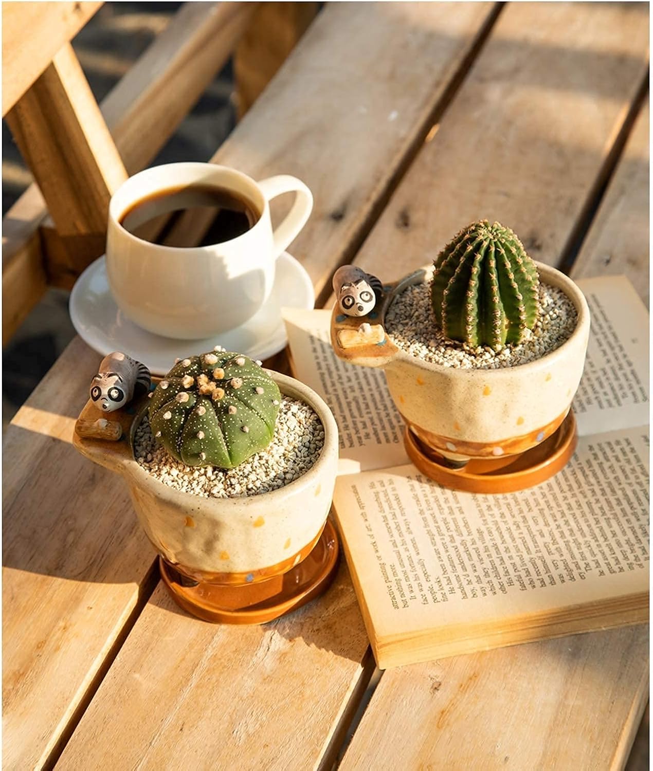 Ceramic Succulent Planter Small Pot with Drainage Hole and Tray for Cactus Flower Plant Container Shelf Home Office Desk Decoration (Raccoon)
