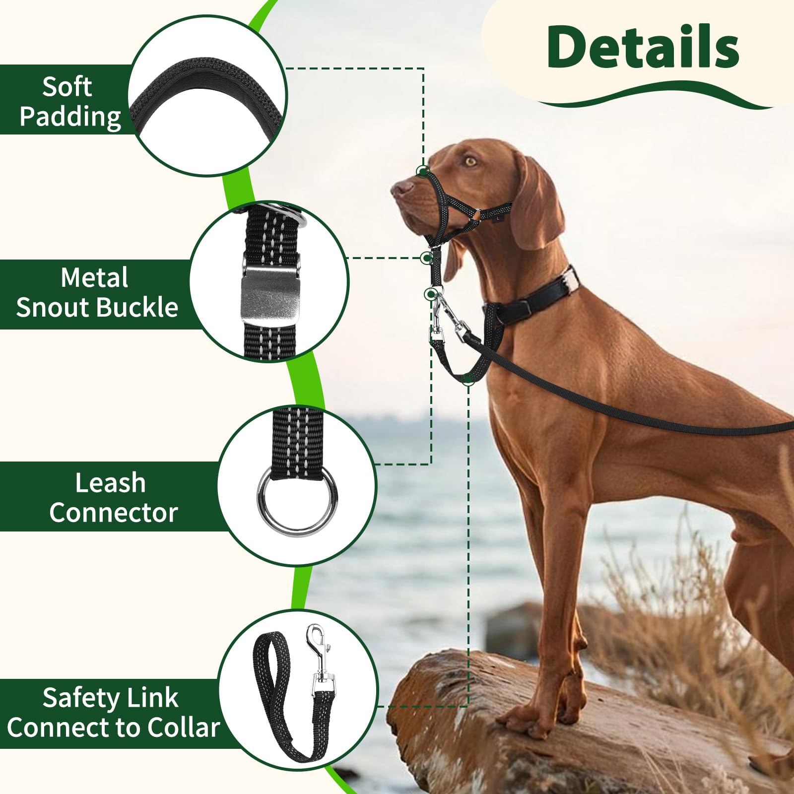 BARKLESS Sturdy No Pull Head Collar for Medium Large Dogs, Gentle Reflective Head Halter with Safety Link, Adjustable Nylon Dog Training Muzzle Leash for Walking Control (Green, L) - image 8