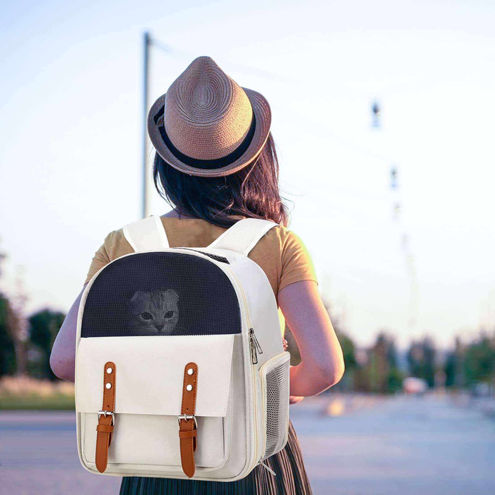 PETCUTE Zaino per Cani Gatti,Trasportino Zaino Porta Cane con Design Ventilato,Tappetino Rimovibile,Borsa Trasporto Morbido per Animali,Zaino Per Animali Domestici con Cintura di Sicurezza Interna
