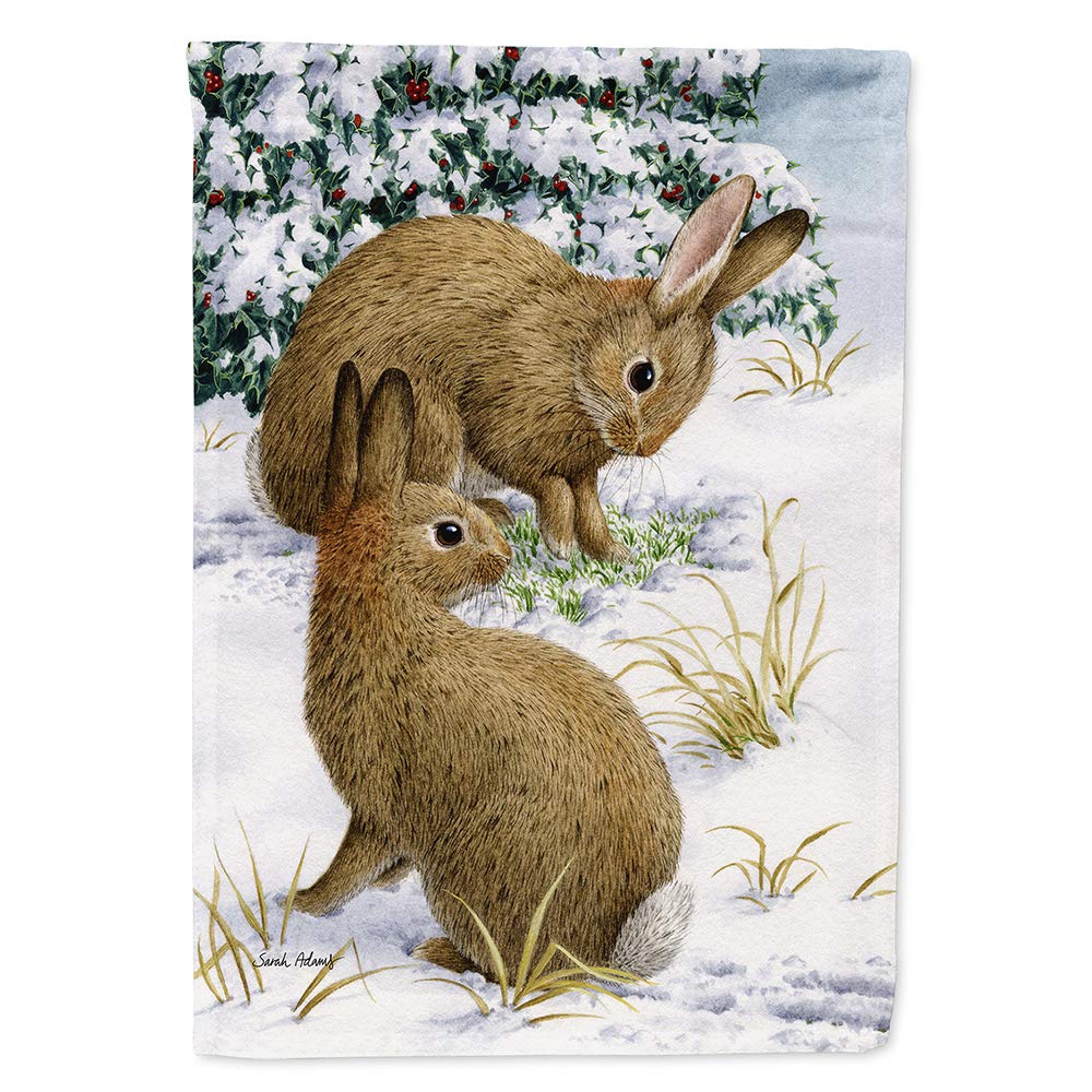 Lapin herbe à chercher drapeau de maison Caroline's Treasures ASA2036CHF grand format