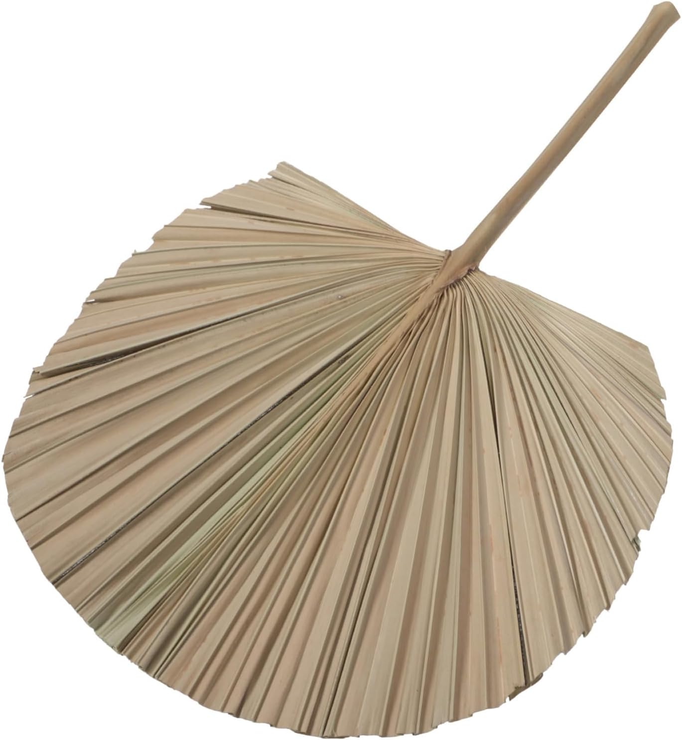 Baluue Sunflower Fan Leaf Decoration Artificial Plants Palm Leaves Indoor Plant Coconut Dried Palm Fan Leaf