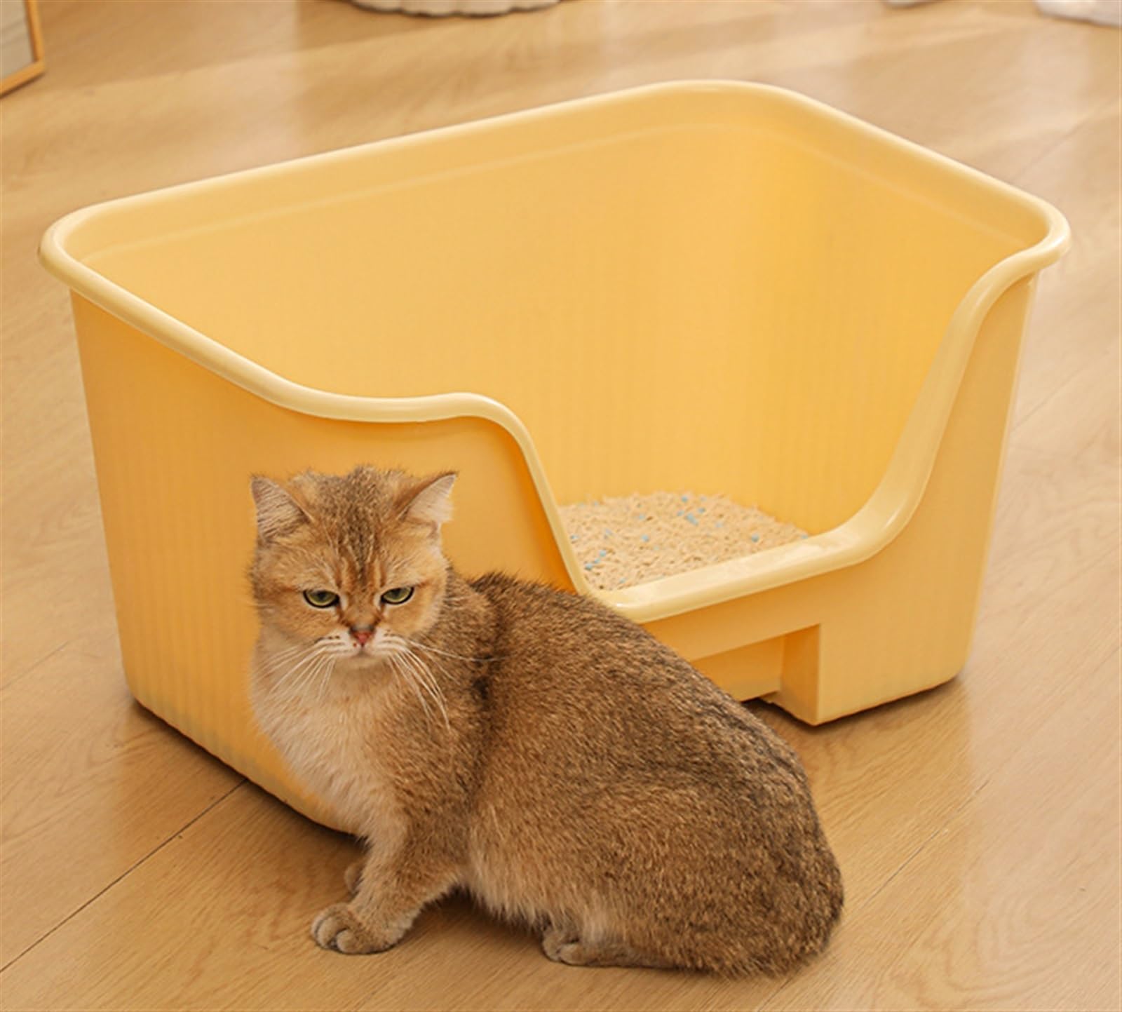 Katzentoilette Katzenklo Katzentoiletten Mit Hohen Seiten, Offene Katzentoilette, Katzenstreu Mit Erhöhten Kanten Für Den Innenbereich Reisetoilette Katze(Purple)