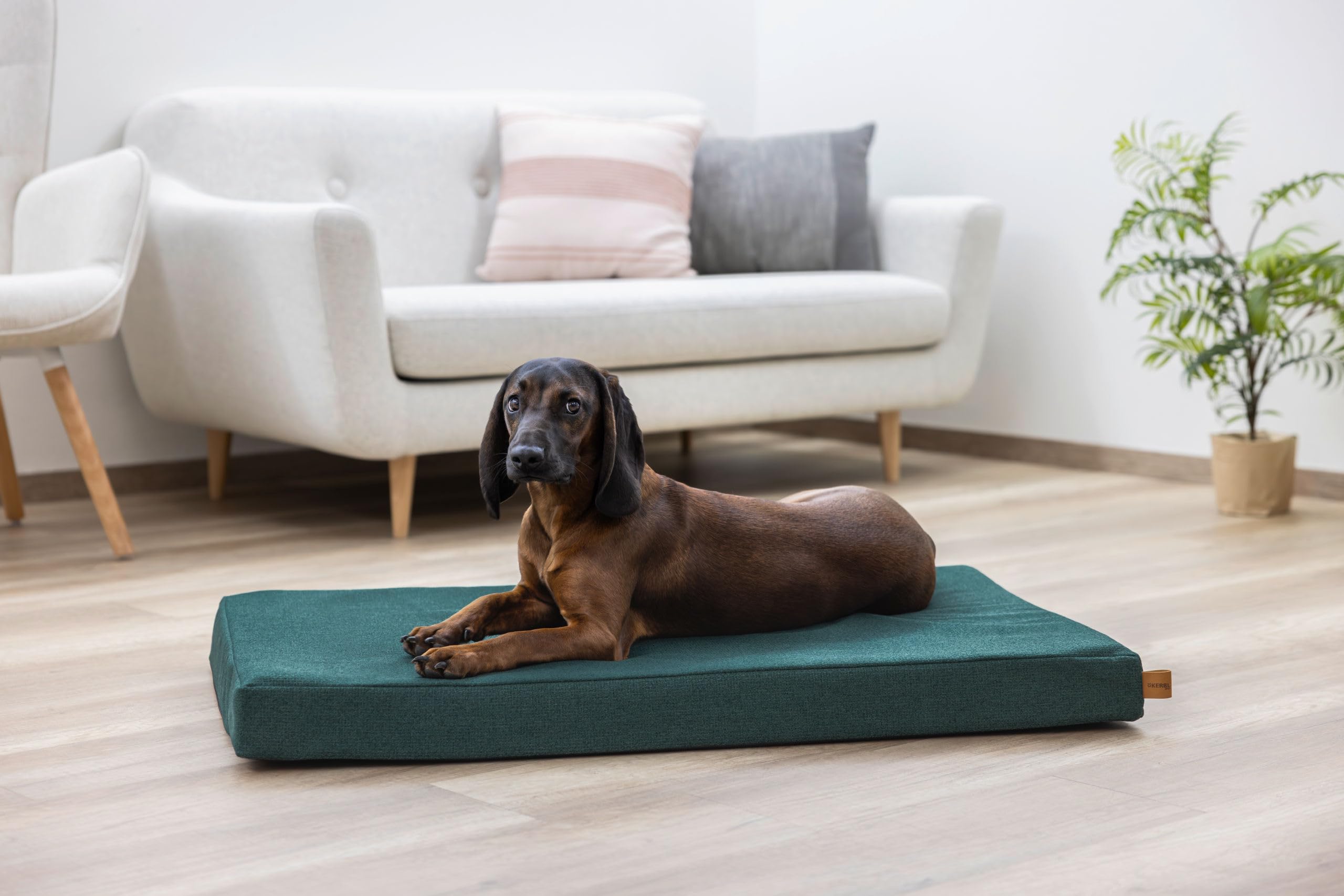 Kerbl Pet materasso in memory foam Oliver, verde inglese, 115x75x8 cm, cuccia per cani, sdraio per cani, cuscino per cani, schiuma