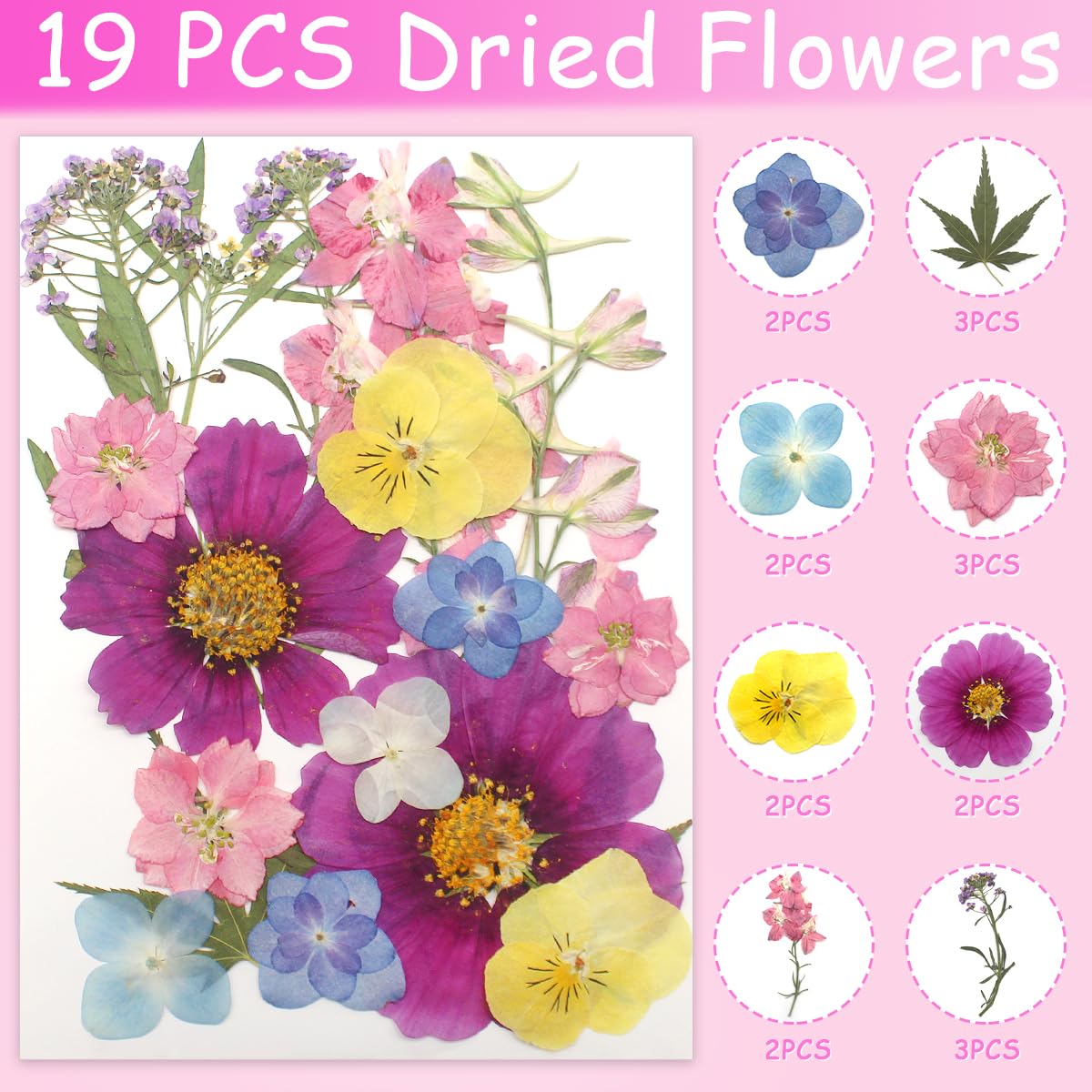 Cinvo 56 Pcs Real Dried Pressed Flowers and Leaves Natural Dried Petals Greenery with Tweezer for Candle Resin Jewelry Soap Nail Pendant Phone Case Crafts Making Floral Decors DIY Embellishments - Image 3