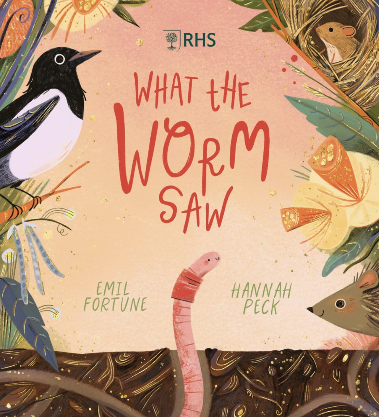 What the Worm Saw by Emil Fortune PAPERBACK 9780702315251