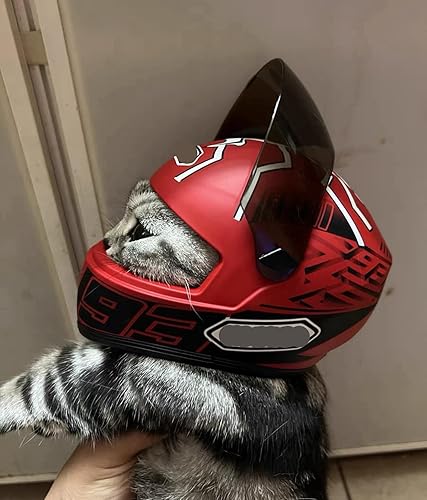 Miniatura 5 de Casco de motocicleta para mascotas, casco de motocicleta de cara completa para perros y gatos, casco de motocicleta para exteriores, para gato,