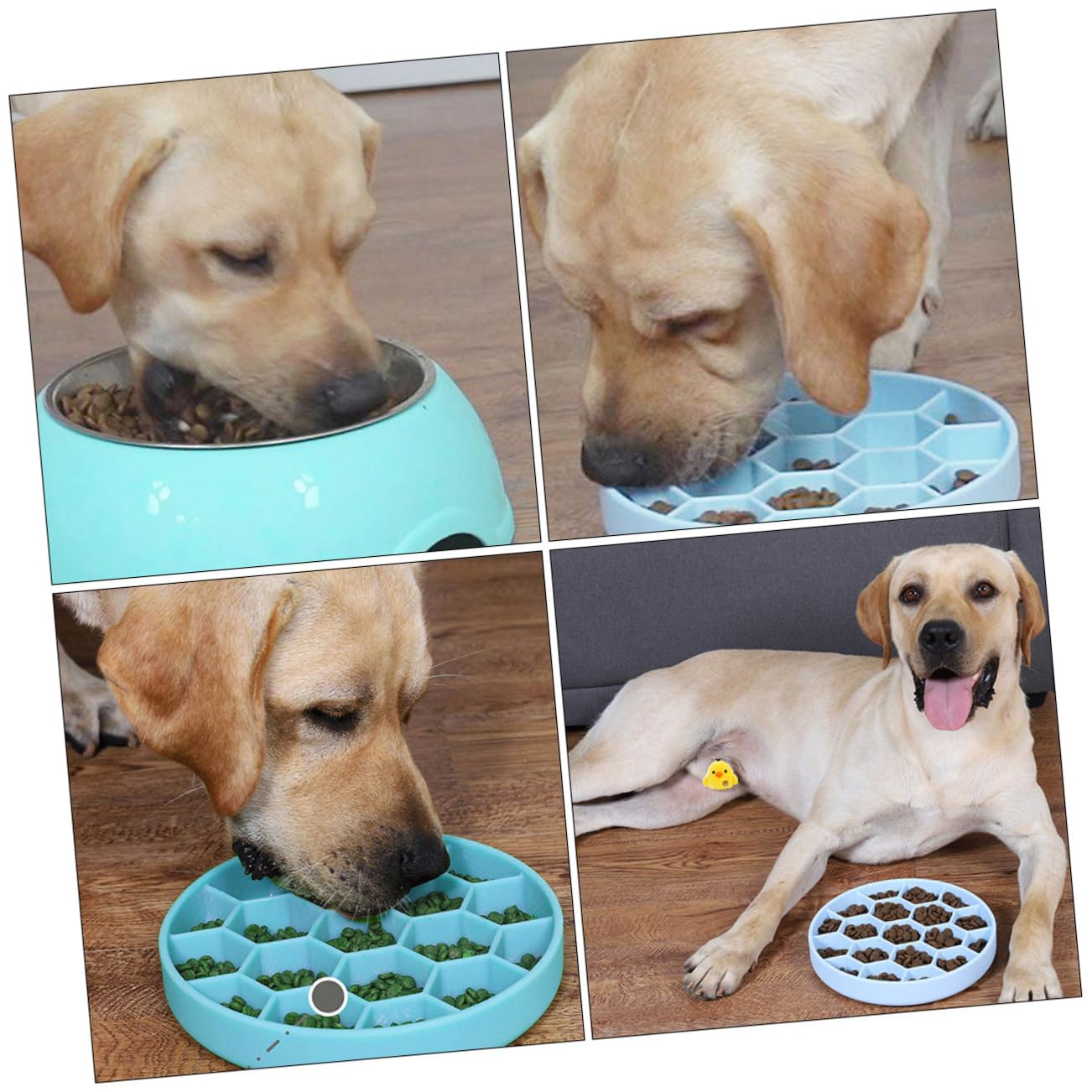 Mikikit Comedero Lento Previene la Indigestión Vómito para Perros de Silicona Ventosa Antideslizante Diseño Único Esquinas Redondeadas para Alimentación Segura