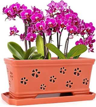Red Ceramic Orchid Pot 12 Inch with Holes and Saucer for Indoor and Outdoor, Effective Drainage and Ventilation
