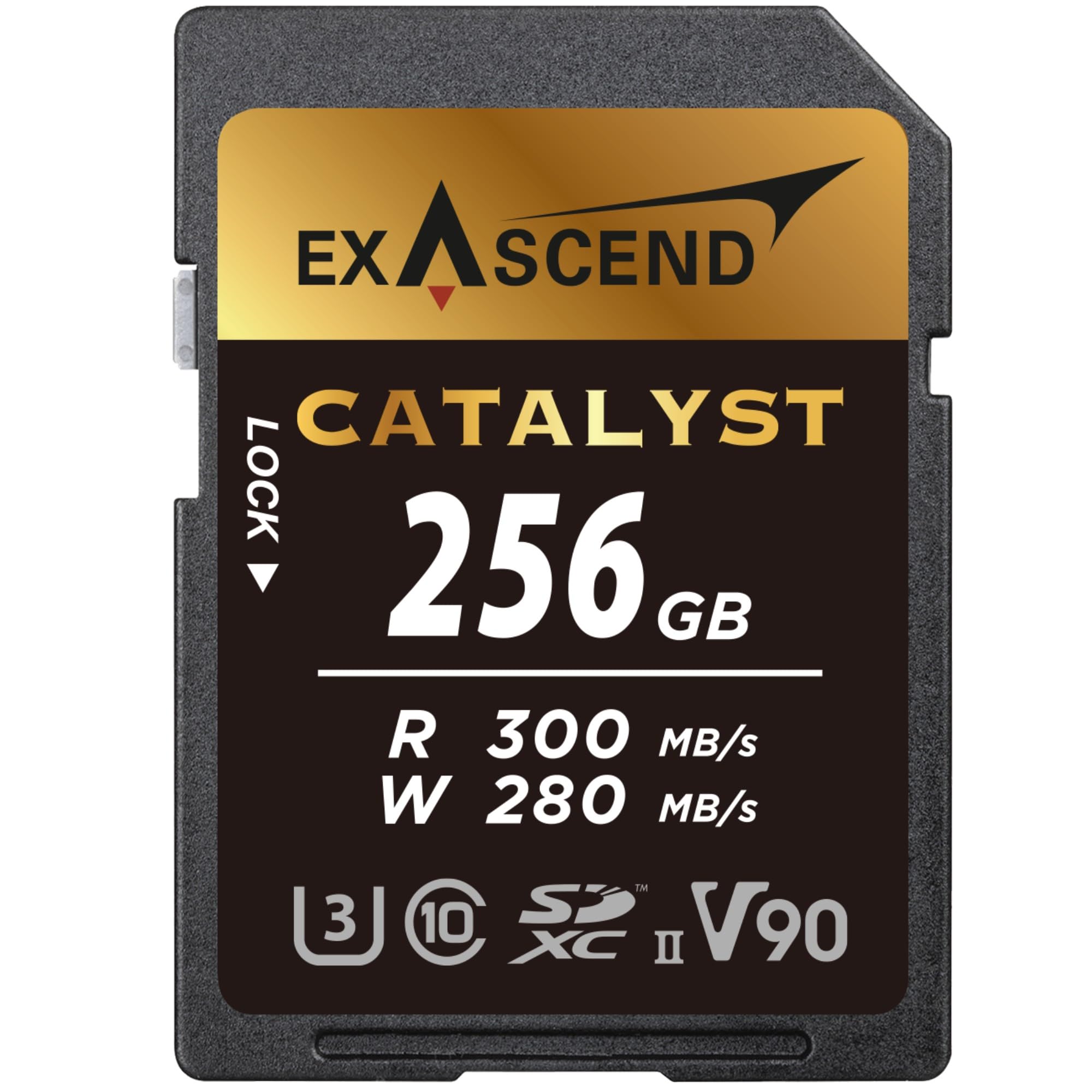 Exascend Catalyst - Tarjeta de memoria SDXC UHS-II V90 de 256 GB, 8K UHD de hasta 280 MB/s, velocidades de escritura, UHS-II, clase 10, U3, V90