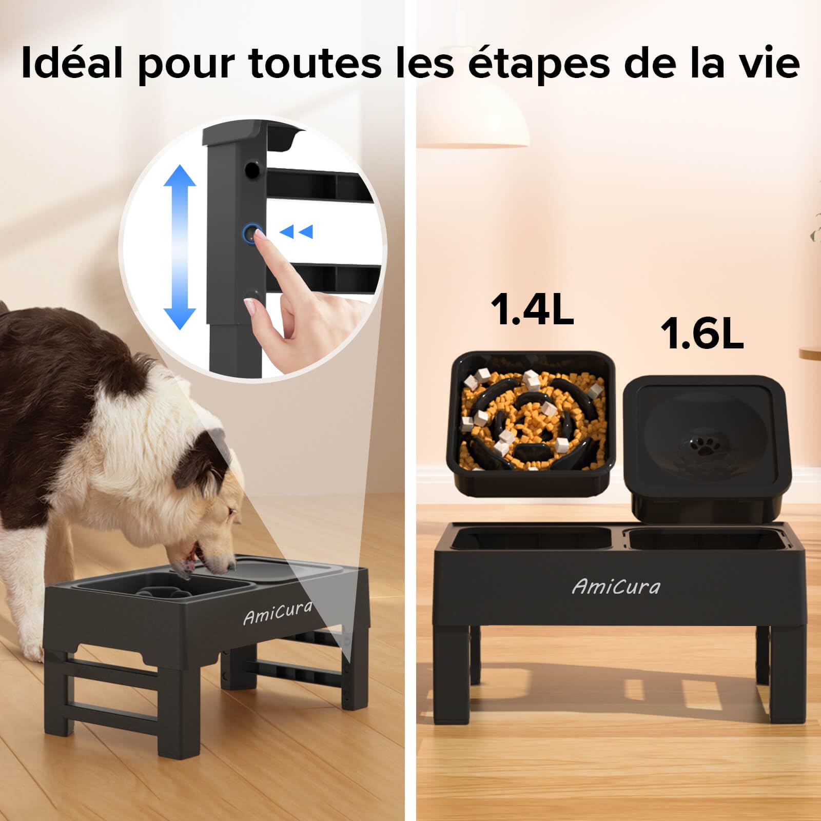 Amicura Gamelle Chien Surelevee, 2-en-1 Gamelle Surélevée avec Gamelle d'eau Anti-éclaboussure et Acier Inoxydable, 4 Hauteurs RéGlables pour Petits Chien Chat de Compagnie, Moyens et Grands