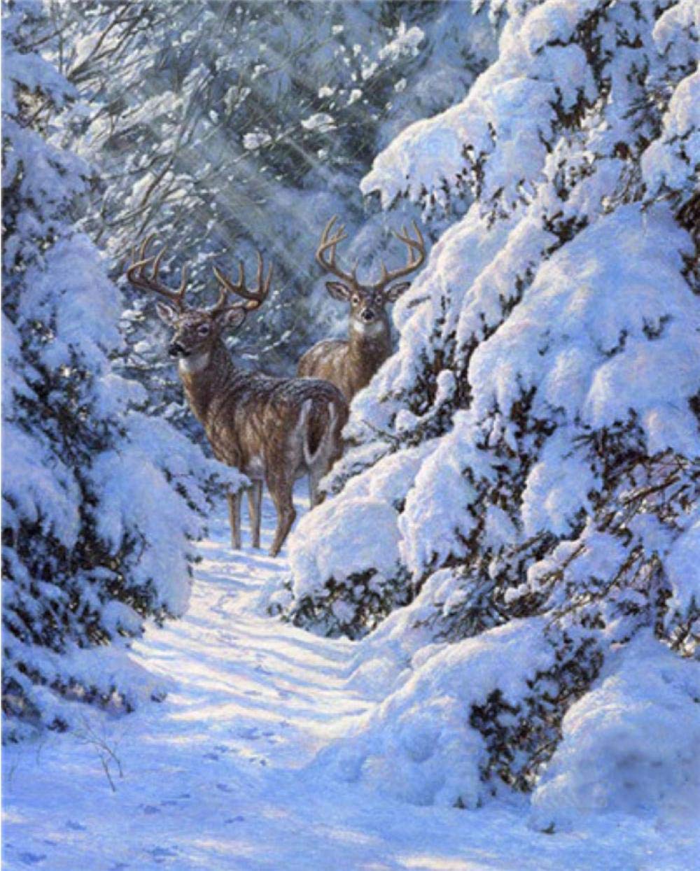 Peinture par numéros paysage d'hiver arbre kit peinture acrylique 40x50