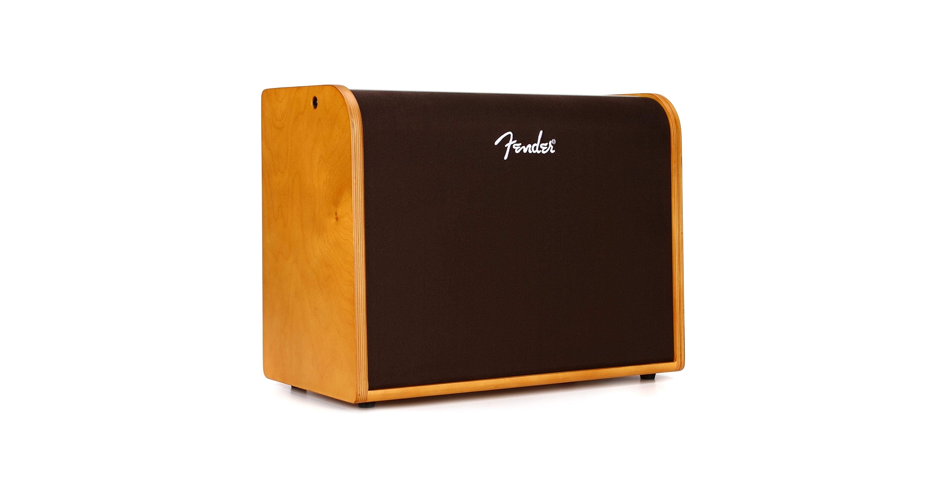 Amazon.com: Fender Acoustic Guitar Amp, 100 Watts, with 2