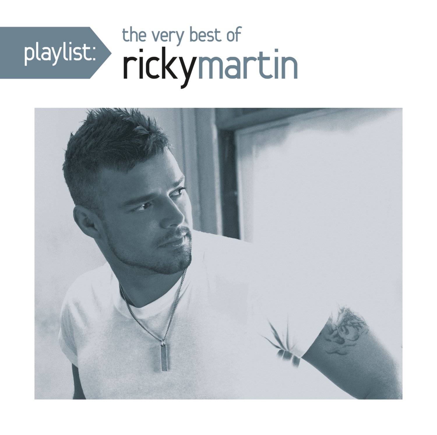 Playlist: The Very Best Of Ricky Martin