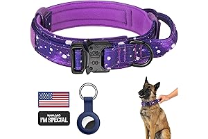 Daganxi Tactical Dog Collar: Control, Comfort, and Safety for Female Canines