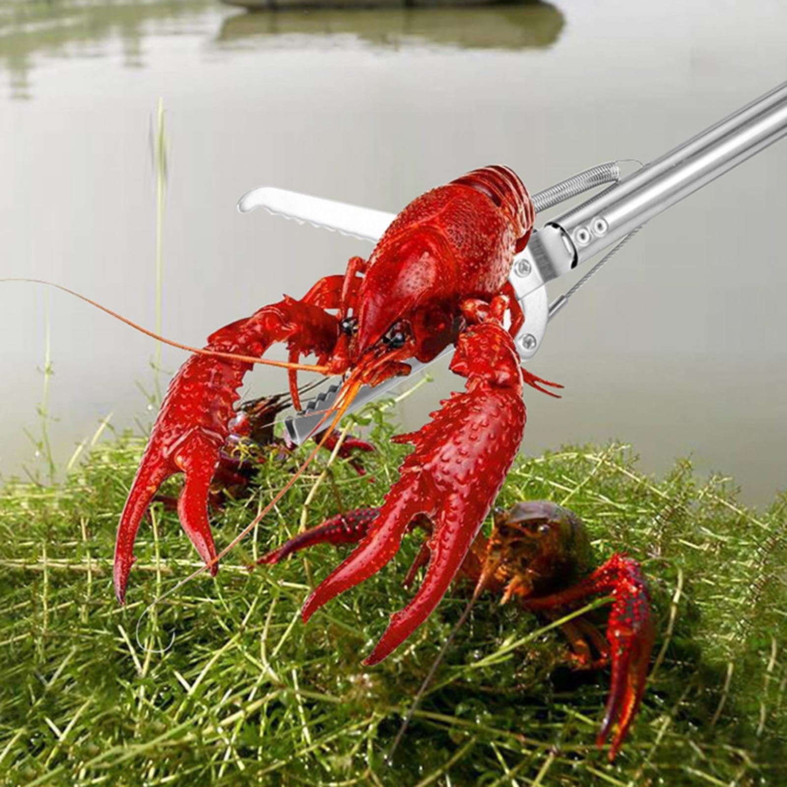 Schlange Grabber Werkzeug - Schlange Grabber Stick, Snake Catcher Zange | Edelstahl Snake Catcher Reptil Grabber Handling Werkzeug, Multifunktions Faltbare Schlange Zunge Grabber Werkzeug für