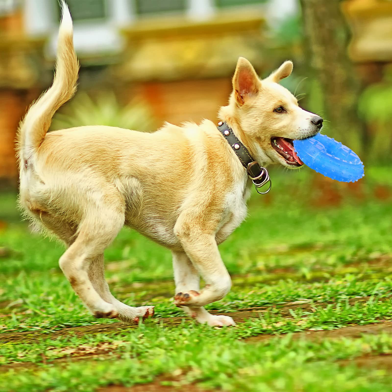 PET Beißring Kühlendes Kauspielzeug 2 Stück Beißspielzeug gefrierbares Hundespielzeug Hund Kühlspielzeug für kleine mittelgroße Hunde Apportieren Essen lindern Zahnbeschwerden, 2 Arten
