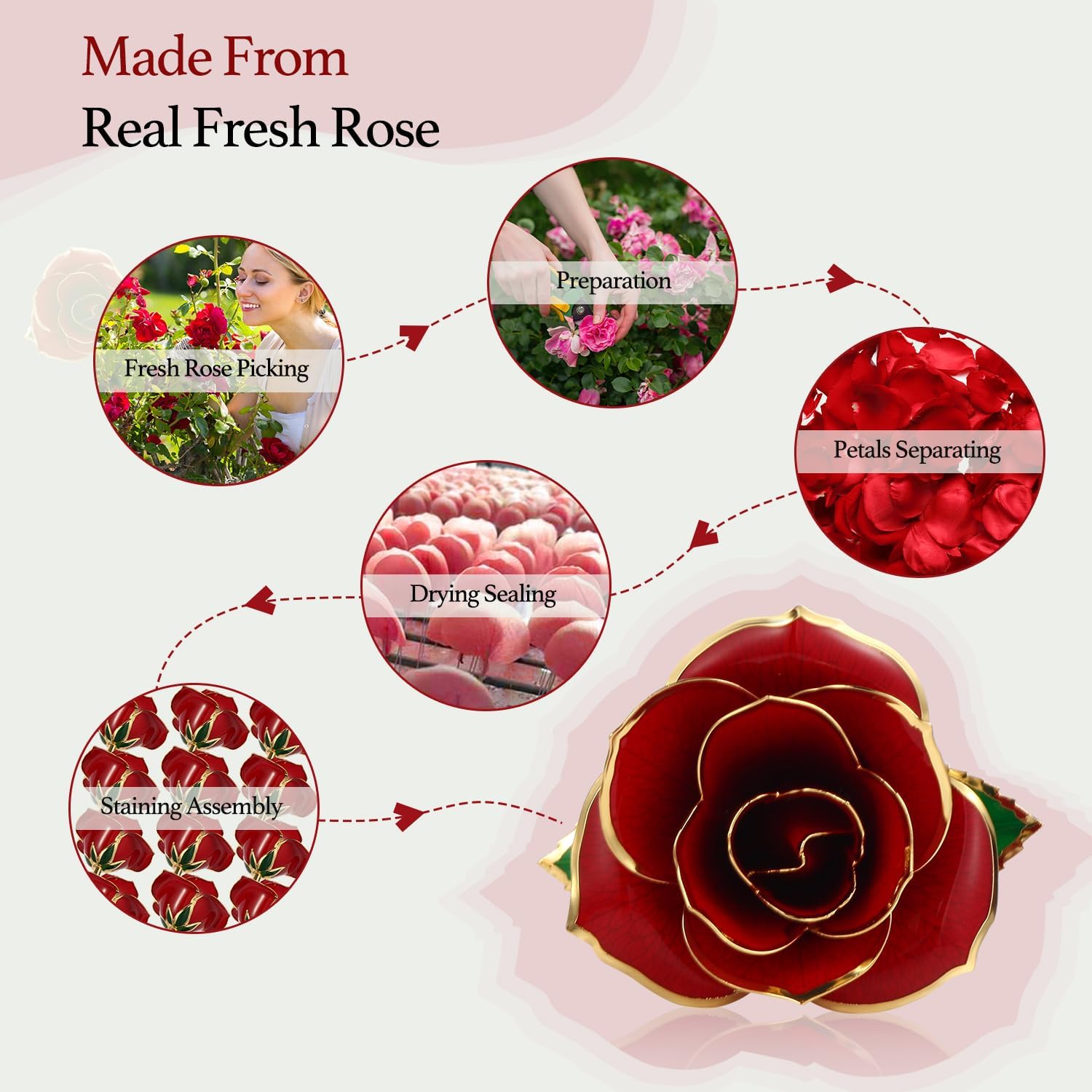 Gold Dipped Rose 24k Red Gold Plated Rose - Everlasting Long Stem Real Rose Exquisite Holder, Romantic Gift for Valentine's and Mother's Day, Gfts for Her Anniversary - Image 2