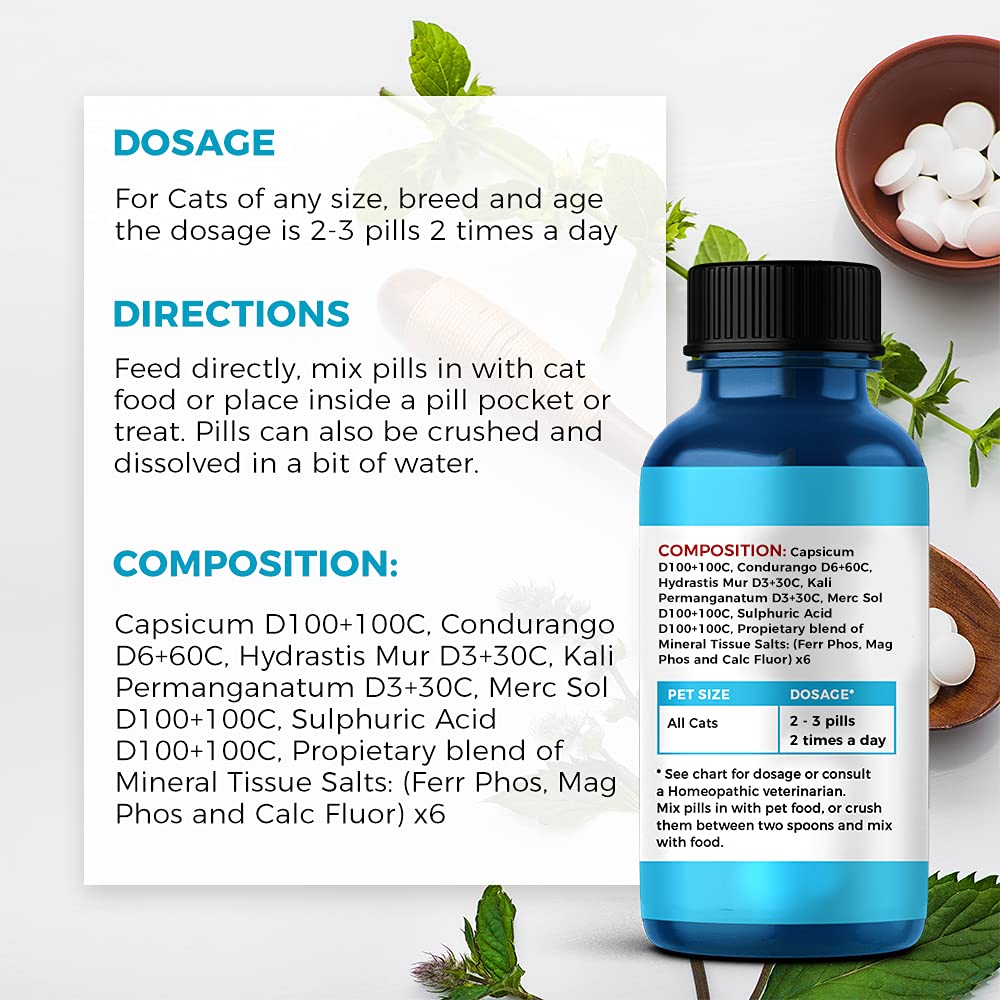 Oral Health for Cats and Dental Care Supplement All Natural Anti