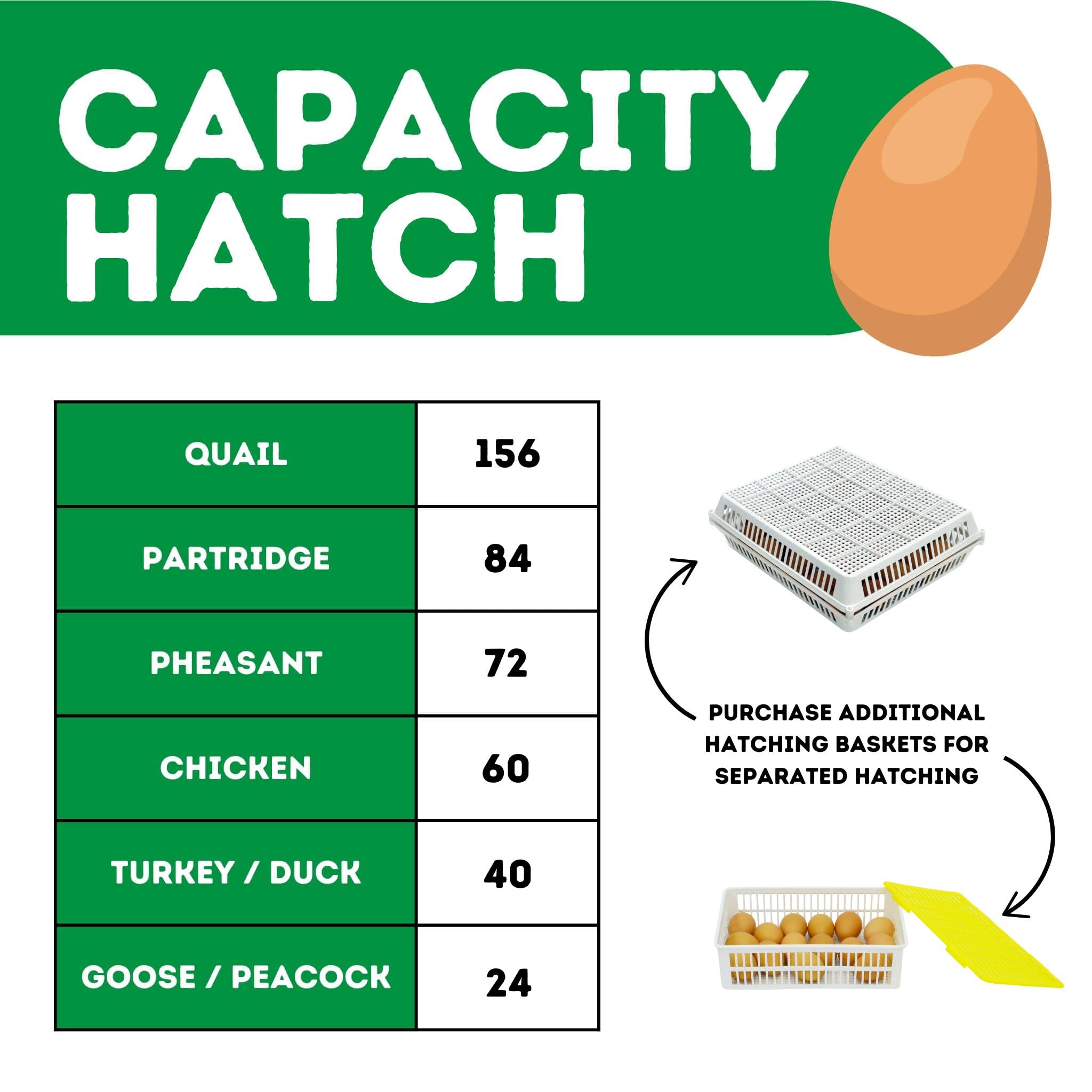 Amazon.com: Hatching Incubators Without Turners – 60 Egg Hatcher