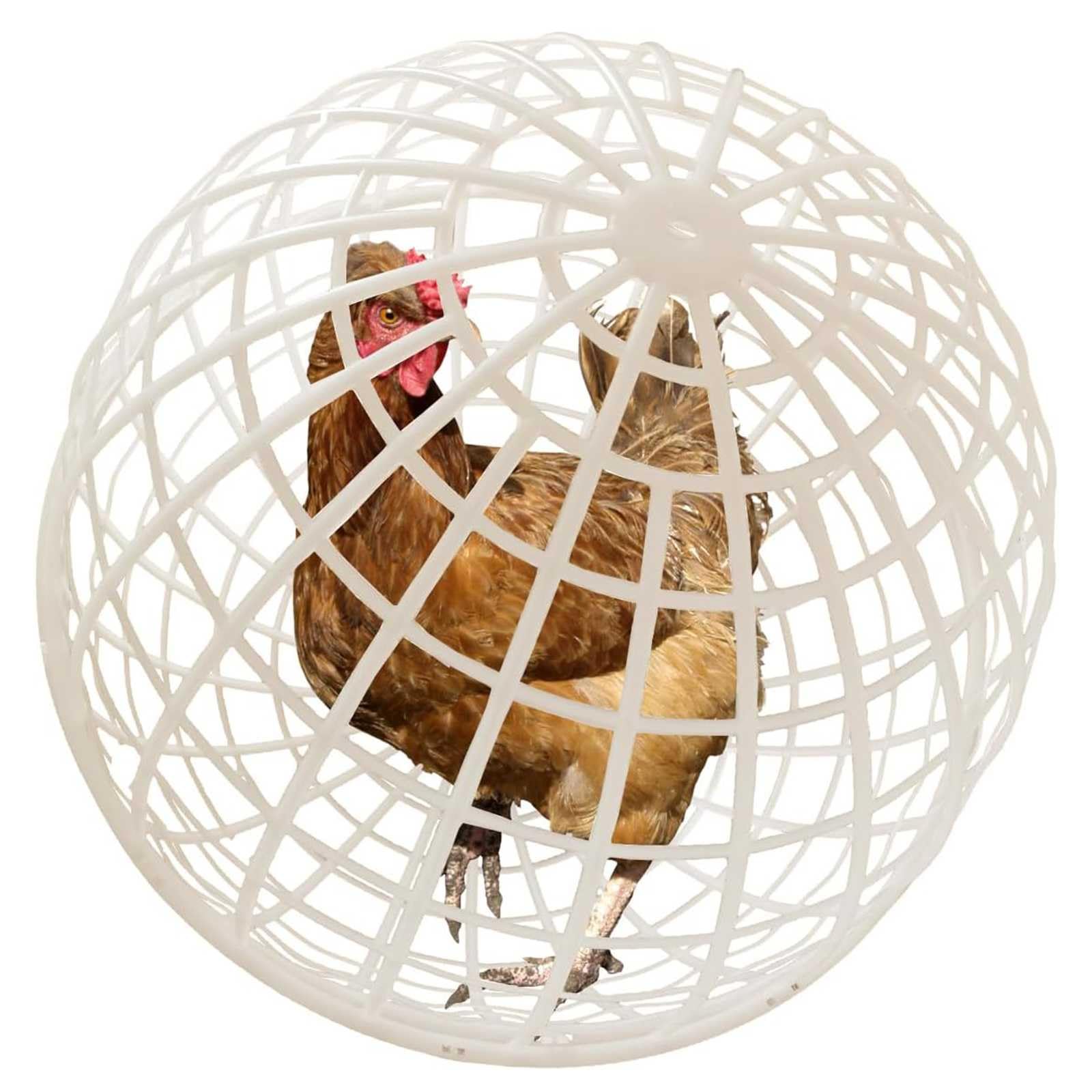 Lot 3 Cages à Poules Plastique Circulaires Mobiles - Enclos Boule Pour Élevage Extérieur