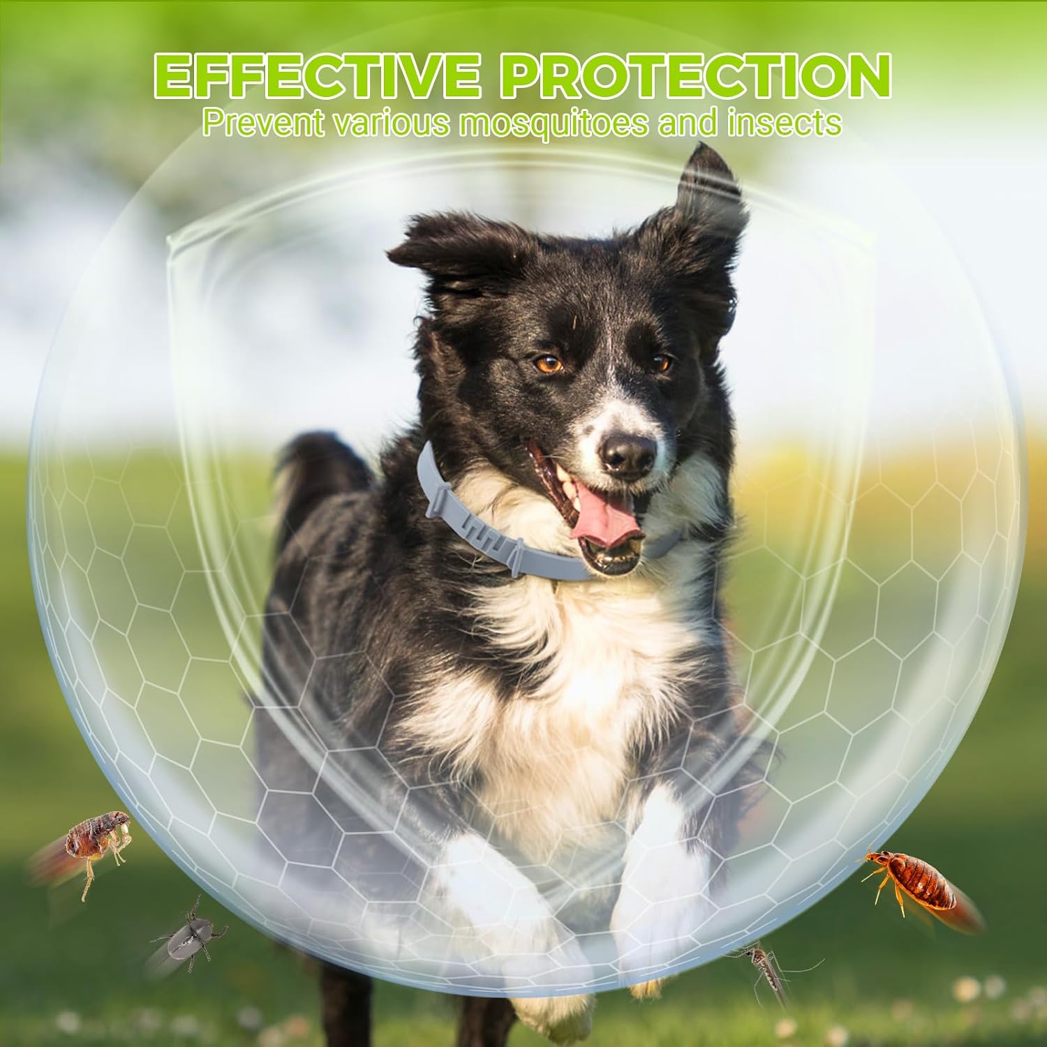 2-Pack Dog Collar with Natural Essential Oils – Waterproof, Adjustable Fit (63cm), Long-Lasting Protection for Dogs Over 7 Weeks - 2