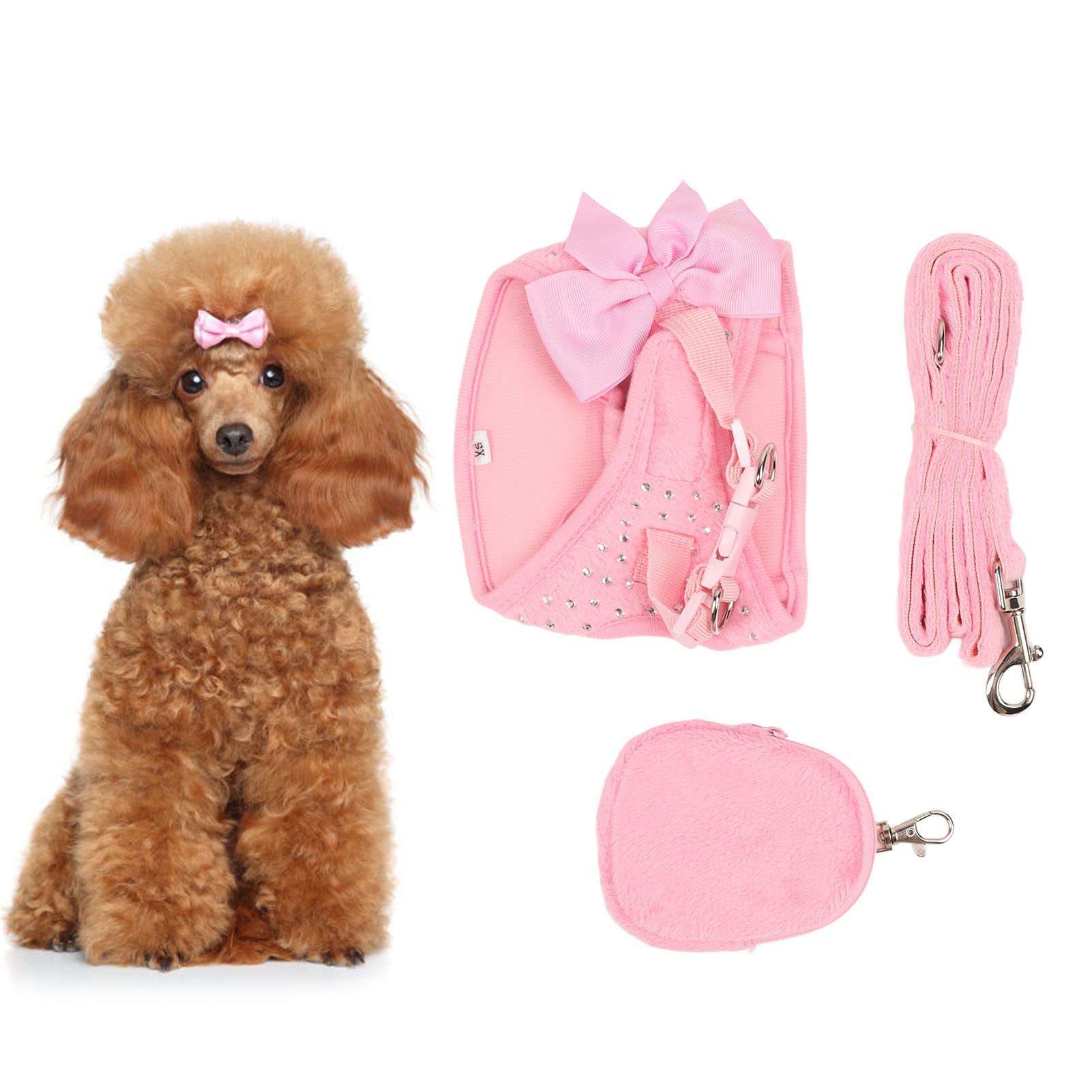 Joli harnais pour chien qui ne serre pas la gorge avec laisse assortie