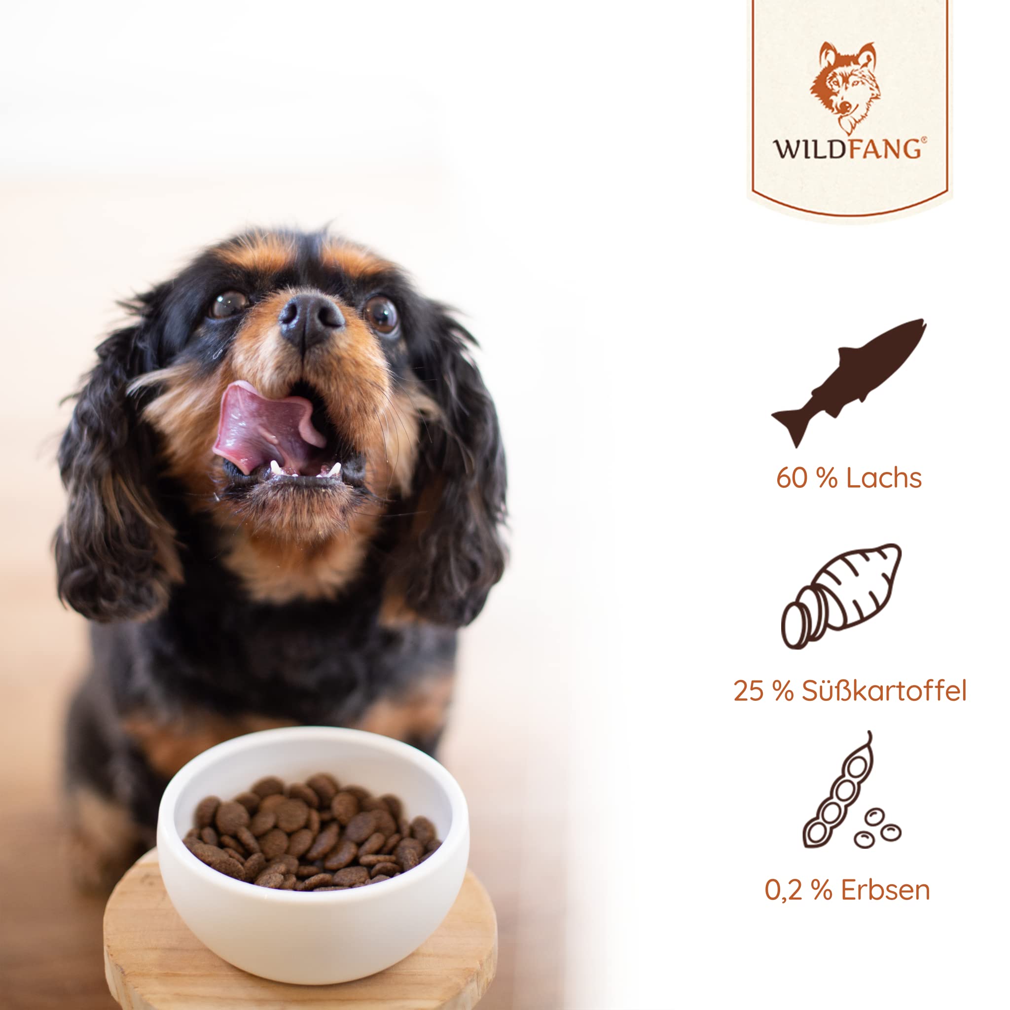 Wildfang® Croquettes Sèches pour Chiens 2kg – Croquettes Sèches Premium au Saumon, sans Céréales & sans Gluten, avec Ingrédients Naturels, sans Sucre Ajouté, Nourriture pour Chiots – Pack de 2