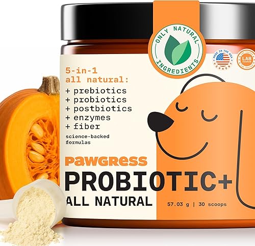 Pawgress Probiotic Plus Powder - Multivitamínico para perros - Suplemento con fibra, probióticos, prebióticos, postbióticos y más - 30 cucharadas