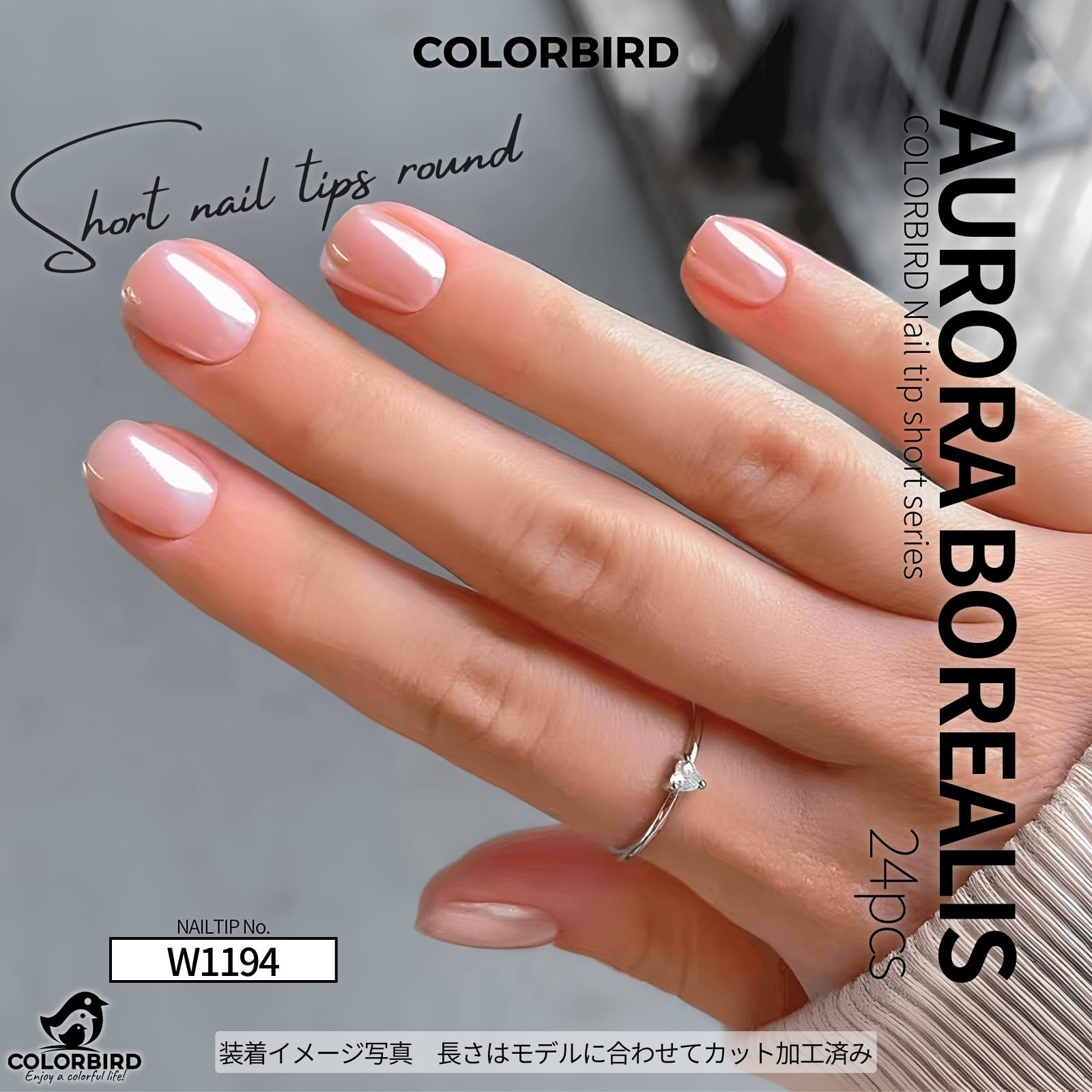 Amazon | COLORBIRD ネイルチップ ショート マグネットネイル シアー