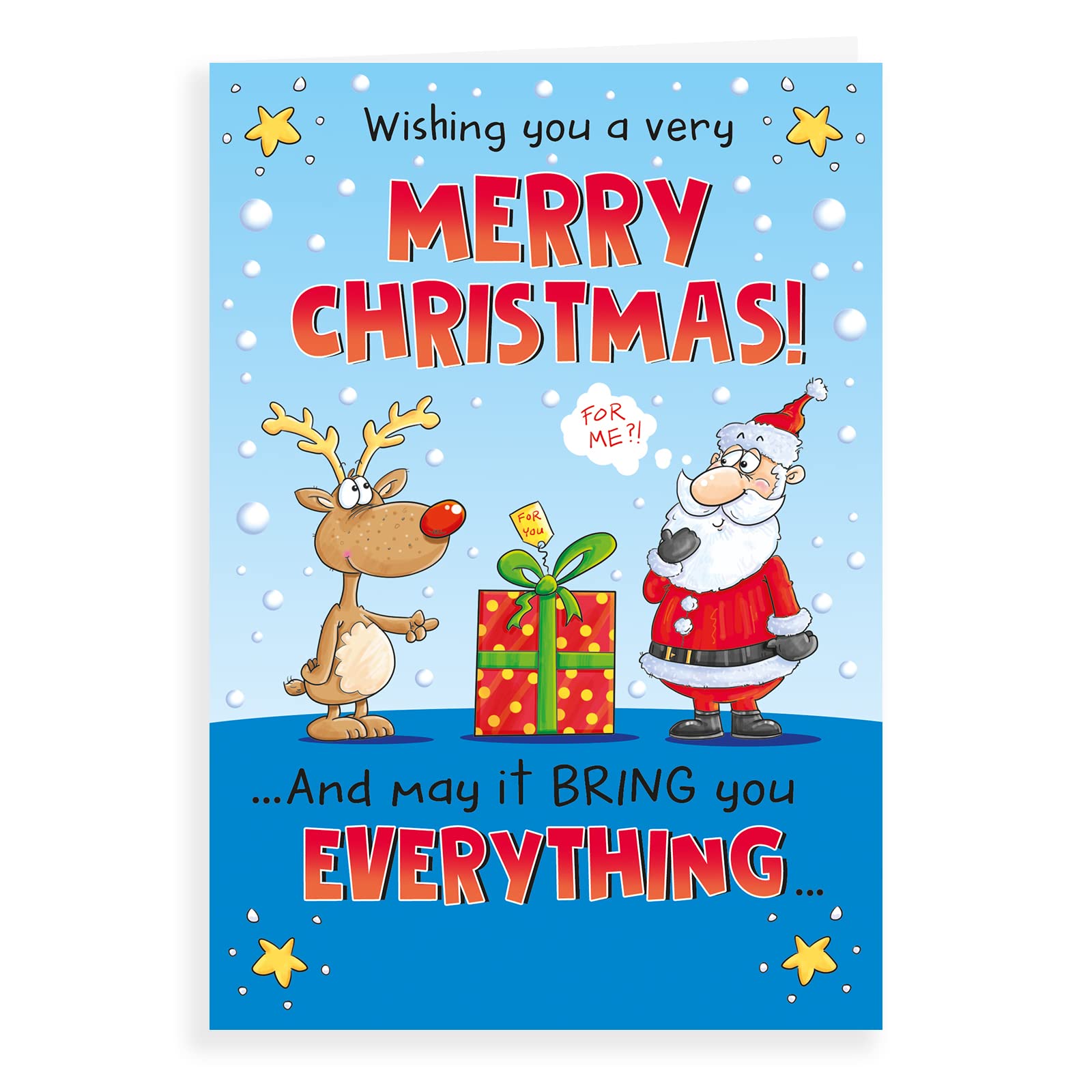 Humour Christmas Card - Wishing You A Merry Christmas Everything You Wished For