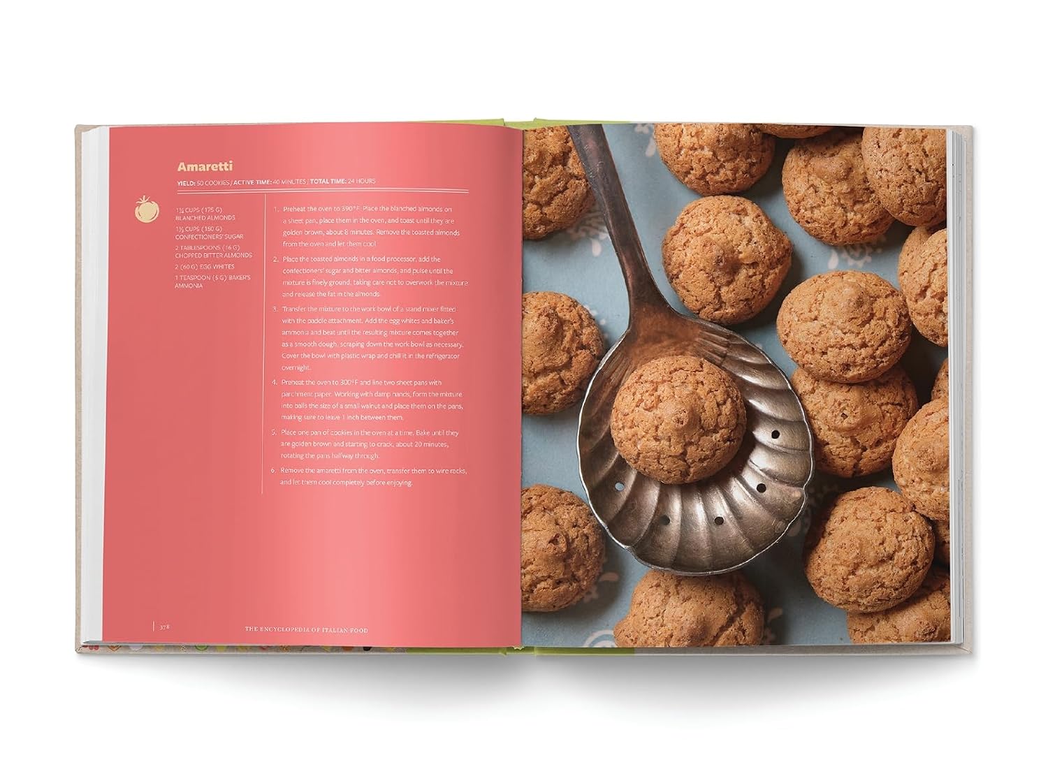 The Encyclopedia of Italian Food: Over 350 Classic Recipes Celebrating Italian Traditions (Encyclopedia Cookbooks)