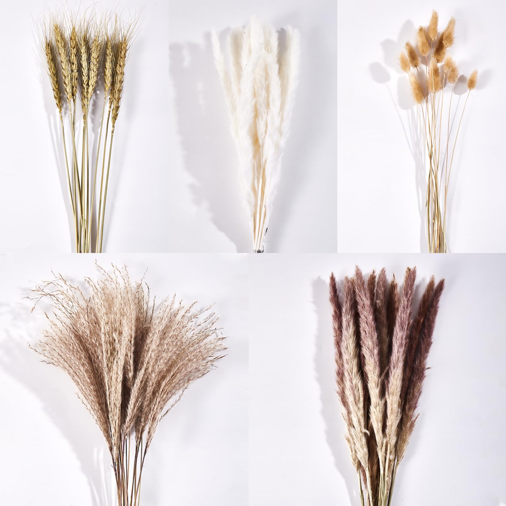 50pcs Natural Dried Pampas Grass Bouquet, Boho Dried Flowers, DIY Pampas Grass Florals for Home Wedding Baby Shower Bedroom Centerpiece Table Rustic Farmhouse Party Artistic Decorations