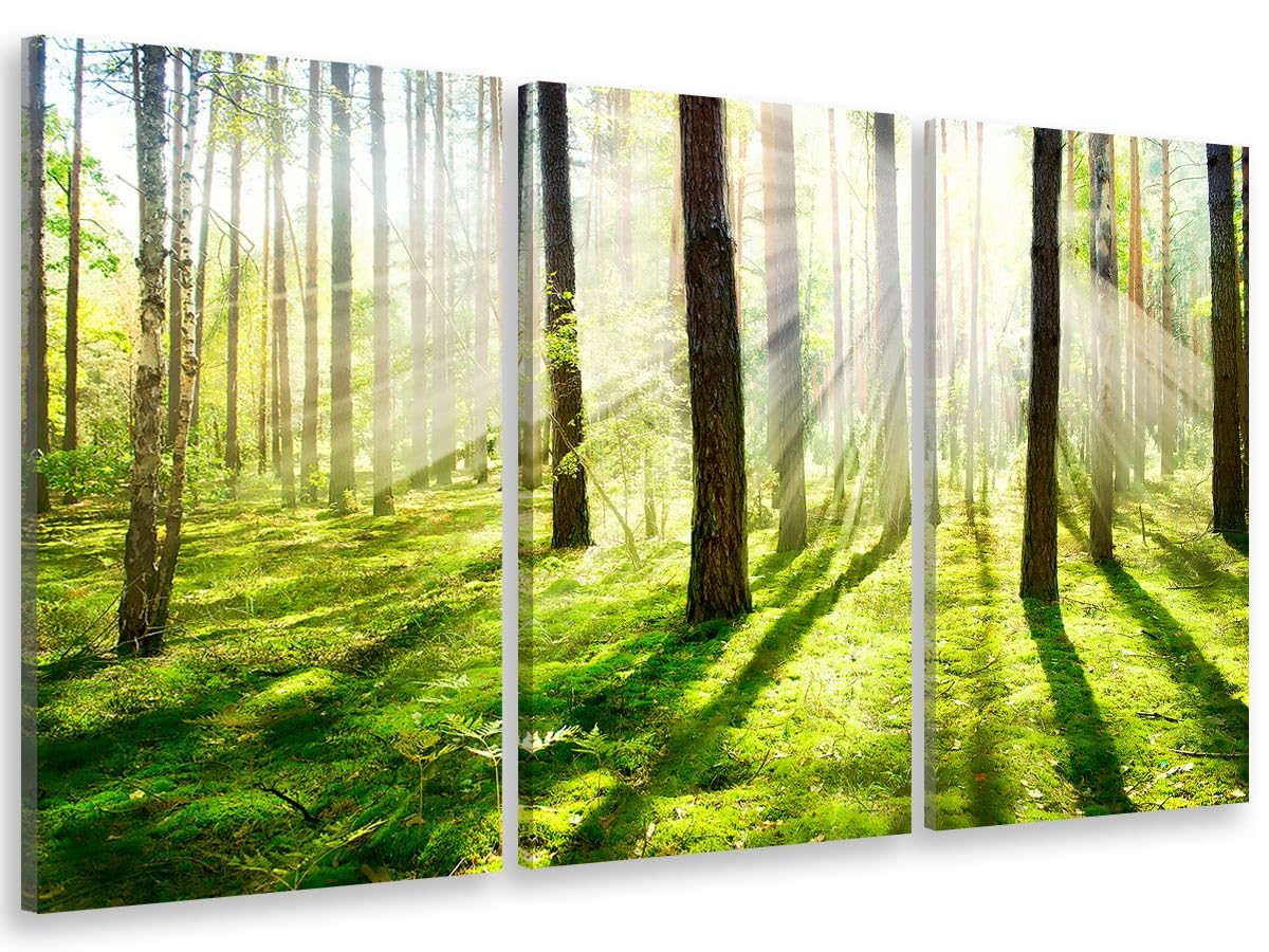 Tableaux Decoration Murale Photo Image Artistique, Multi Panneaux, Tableau Triptyque Photo sous Bois de jacinthes - 90x60 cm