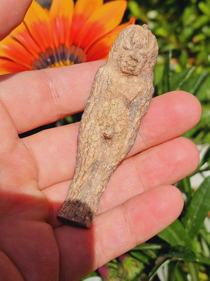 毛が生えた‼️特級呪物‼️希少‼️超特大サイズ‼️ナリーポンとマカリーポン 毛が生えた‼️特級呪物‼️希少‼️超特大サイズ‼️ナリーポンと