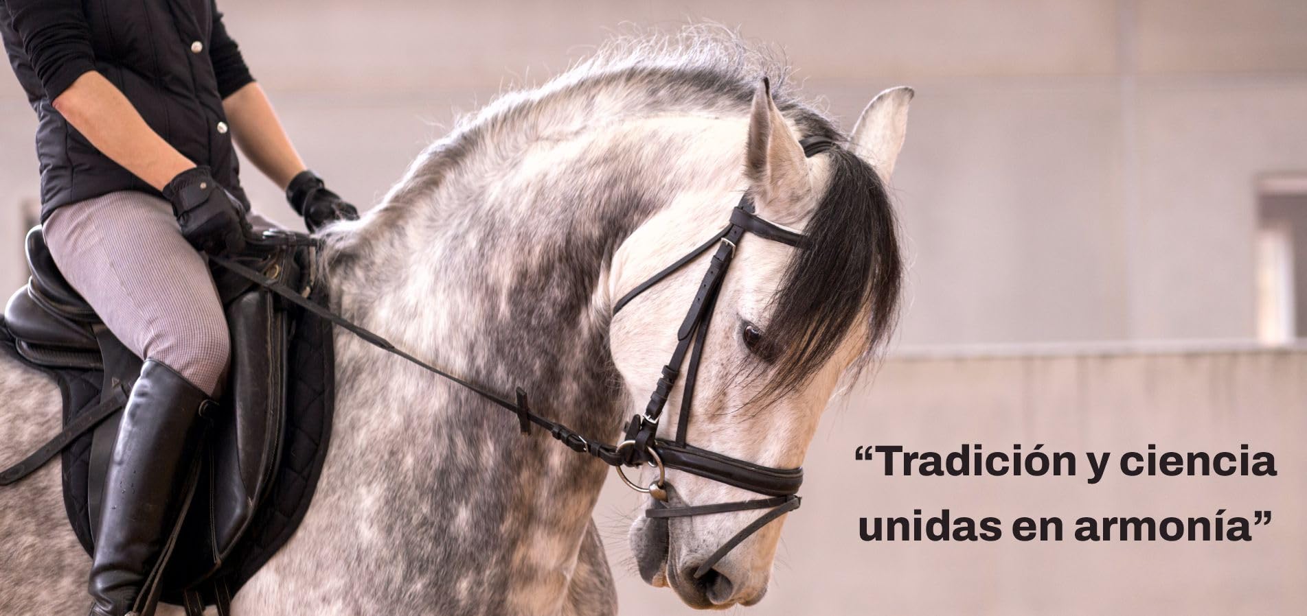 Maktuk Horses | Naturalny przeciwświądowy, regenerujący balsam na włosia i ogona, szybkie łagodzenie swędzenia i podrażnienia | Pomoc w regeneracji włosów