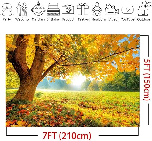 Miniatura 3 de LYWYGG Fondo de fotografía de hoja caduca de arce dorado de otoño de 7x5FT Fondo de fotografía de otoño Telón de fondo de boda Telón de fondo de