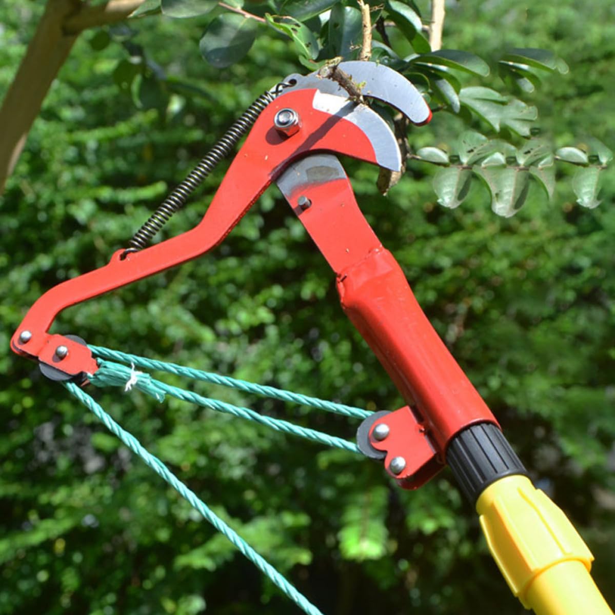 Podadora de Árboles Extensible de Acero Rojo con Polea Compuesta