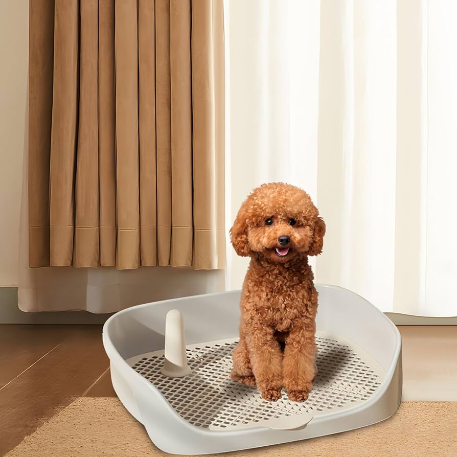 Hondenbak - 15,8 x 11,8 x 4,3 cm - In afneembaar hondentoilet van kunststof - Trainer voor kleine huisdieren - Wasbaar voor kleine honden en puppy's (blah