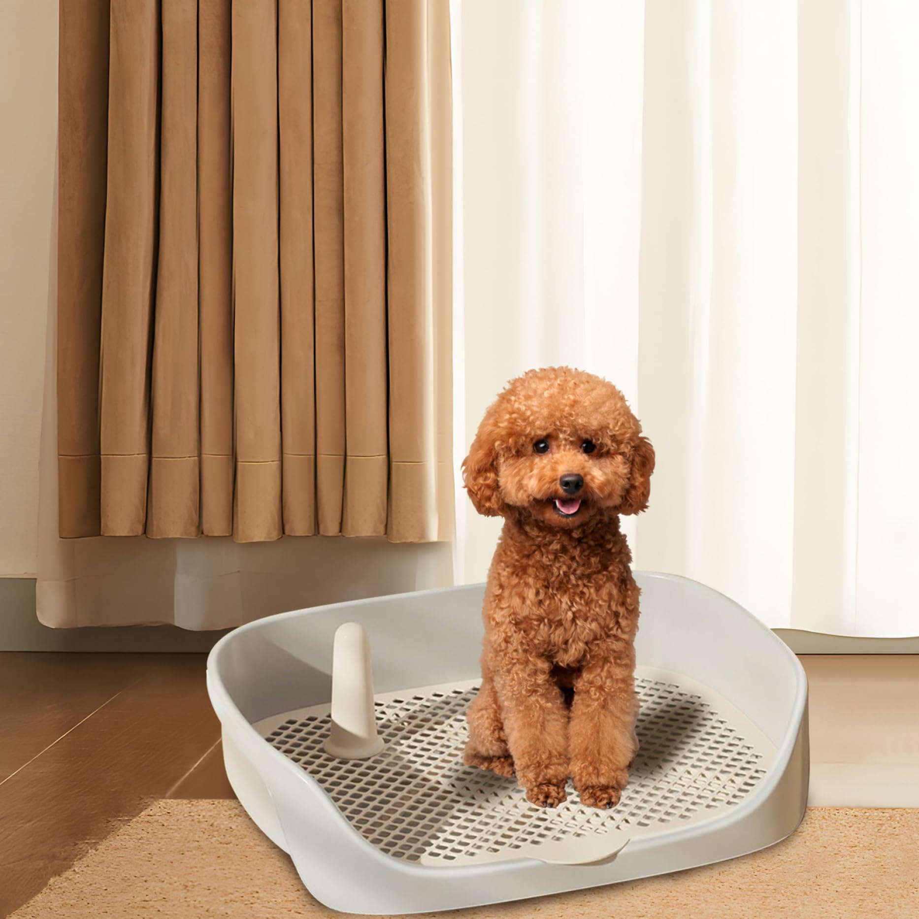 Gamelle de toilette pour chien - 15,8 x 11,8 x 4,3 cm - Dans toilettes amovibles pour chien en plastique - Entraîneur pour petits animaux de compagnie - Lavable pour petits chiens et chiots (bla