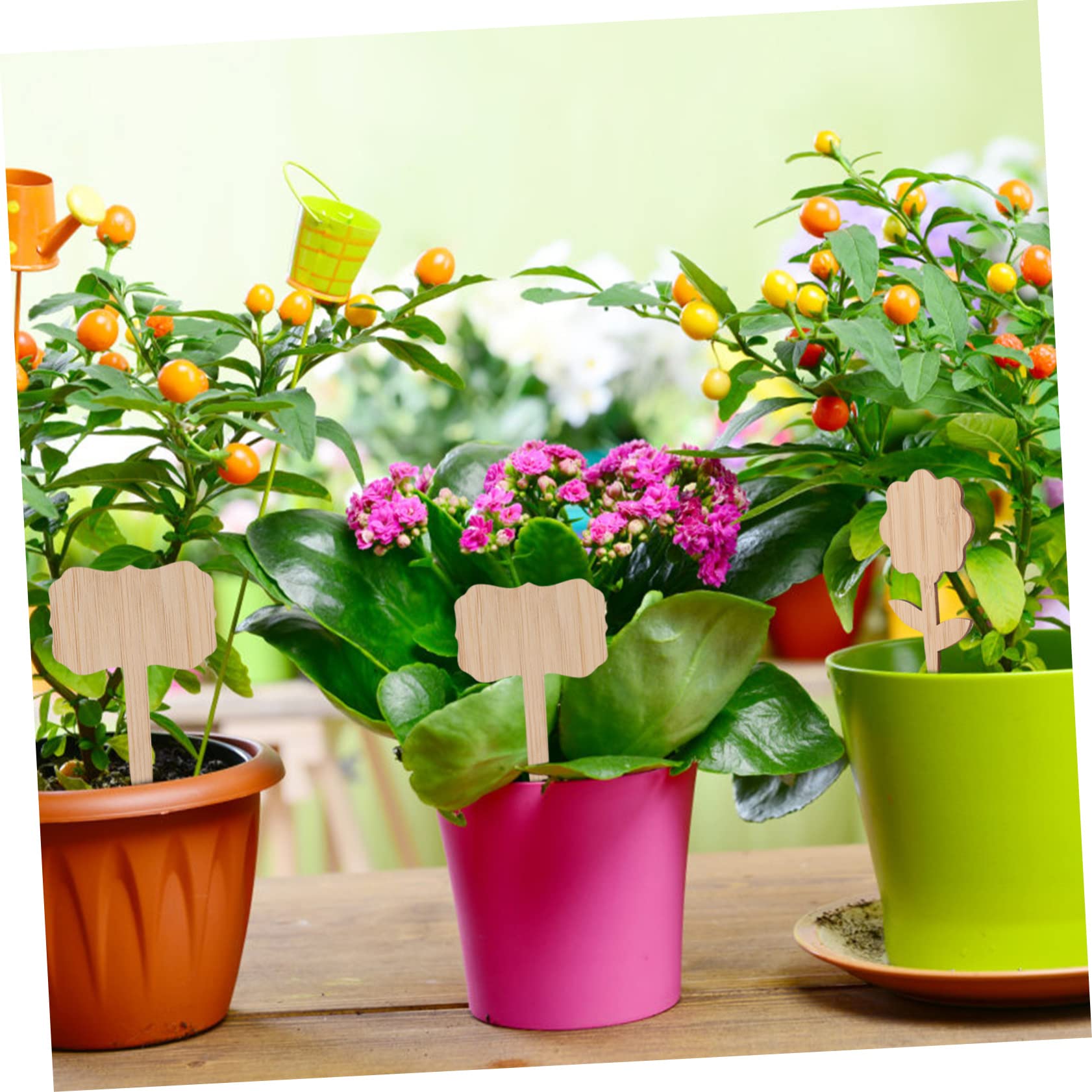 SUPVOX 4 Ensembles Marqueurs De Plantes Bâtons De Bambou Étiquettes Pour Plantes Succulentes De Jardin Grandes Artificielles Plaques D'Étiquettes Pour 40 pièces * 4