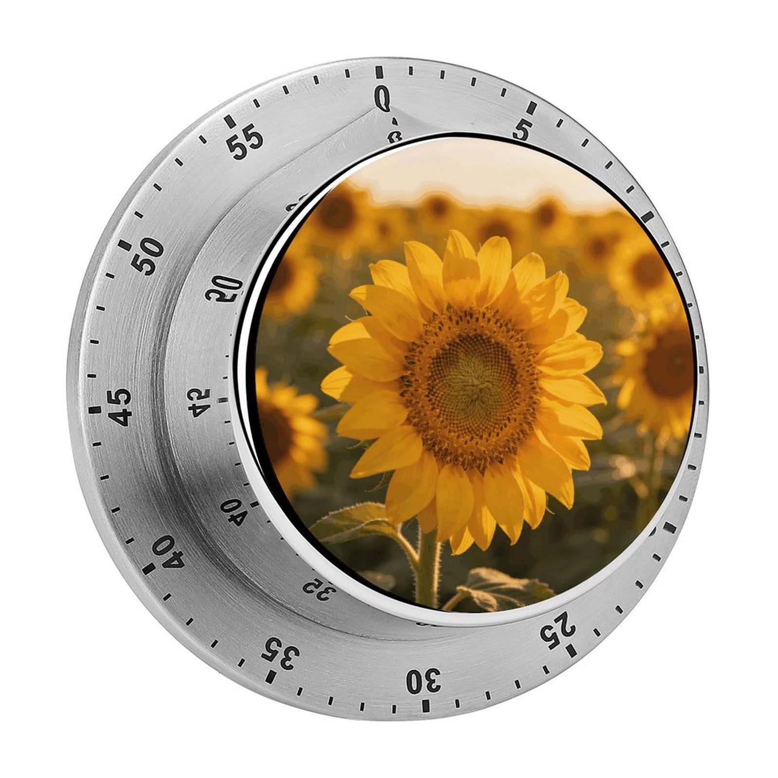 Sunflower Timer Exquisite Stainless Steel Body Desk Visual Timer with Loud Alarm 60-Minute Mechanical Countdown Timers Magnetic Backing Cooking Kitchen Timers for Work